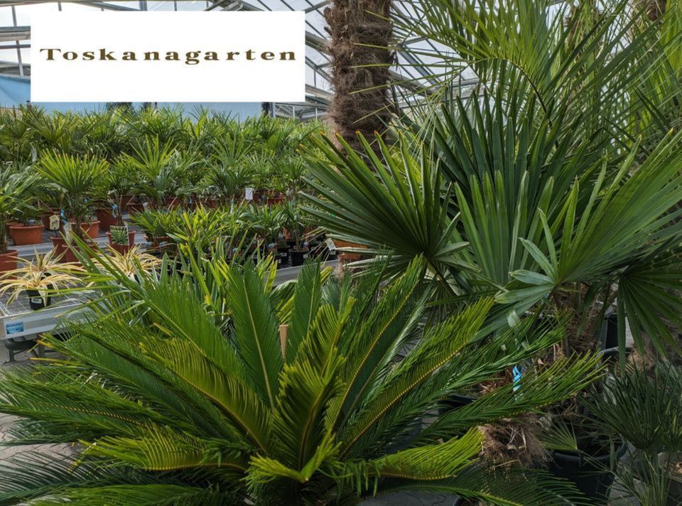 Pflanzenüberwinterung