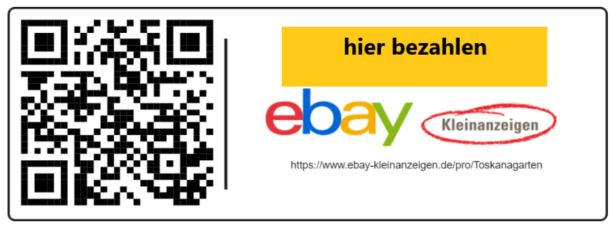 Kleinanzeigen Zahlung